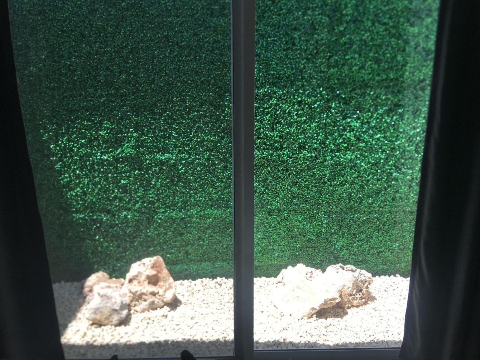 Green Lofts Cancún Zewnętrze zdjęcie